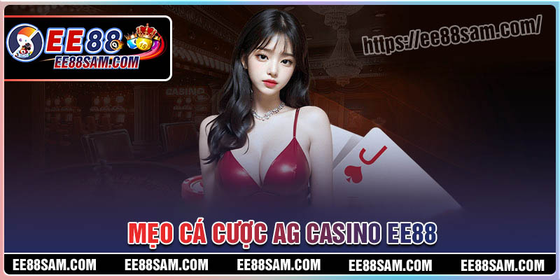 Bí kíp cá cược sảnh AG Casino EE88 hay cho bet thủ