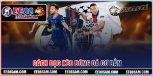 Cách đọc kèo bóng đá cơ bản cho người mới