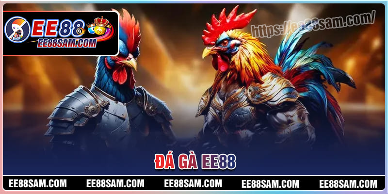 Đá gà EE88 mang đến như tham gia đá gà thực sự