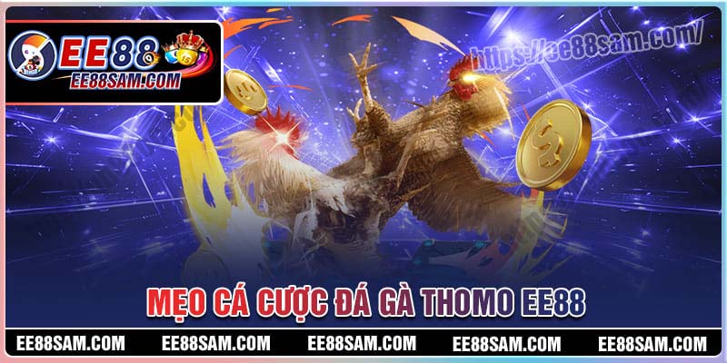 Kinh nghiệm cá cược Đá gà Thomo EE88 hiệu quả nhất