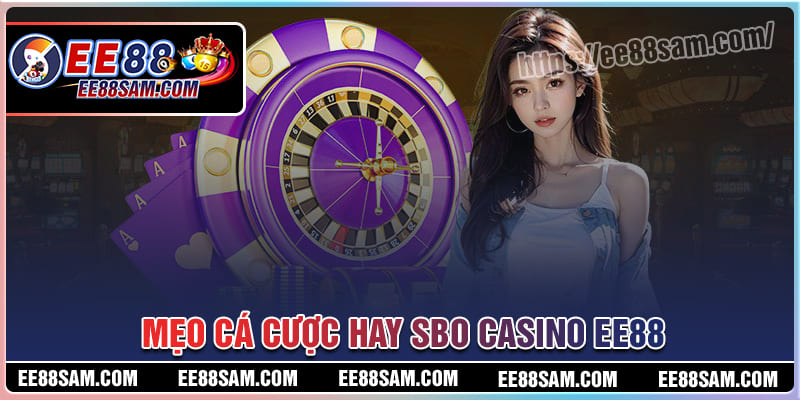 Mẹo cá cược SBO Casino hay cho tân thủ