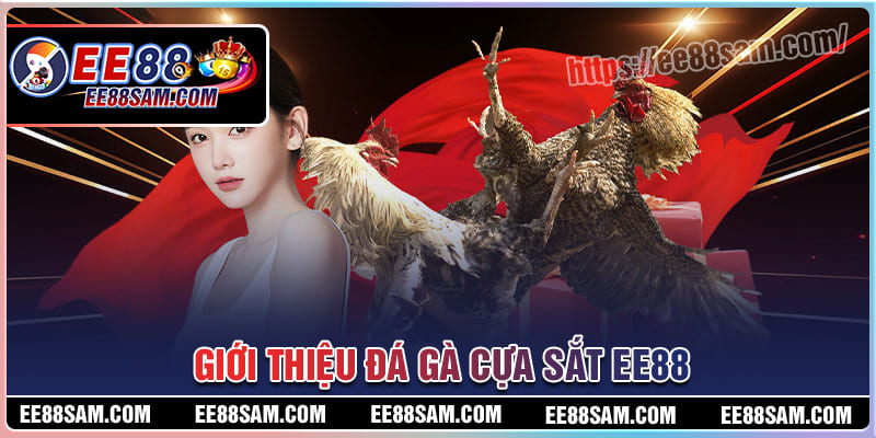 Tổng quan về đá gà cựa sắt EE88