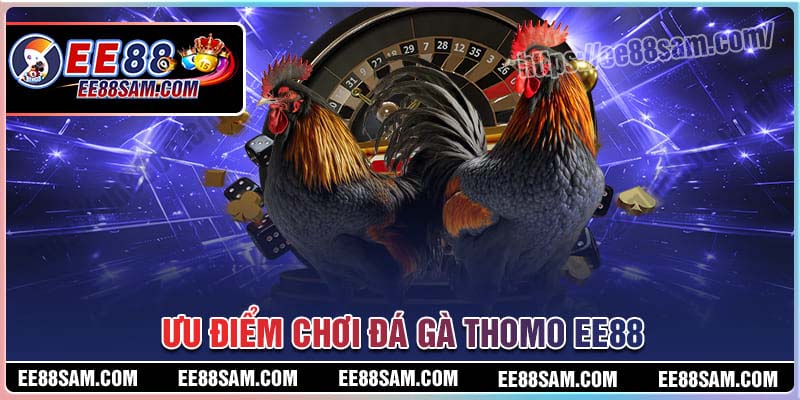 Ưu điểm tham gia chơi Đá gà Thomo tại EE88
